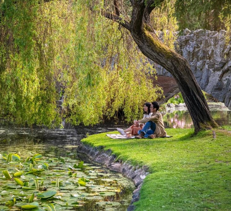 A young couple enjoys a picnic at Beacon Hill Park in Victoria, BC
