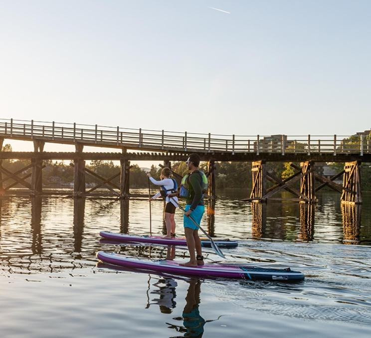 A couple paddleboards in the Upper Harbour of Victoria, BC at sunset