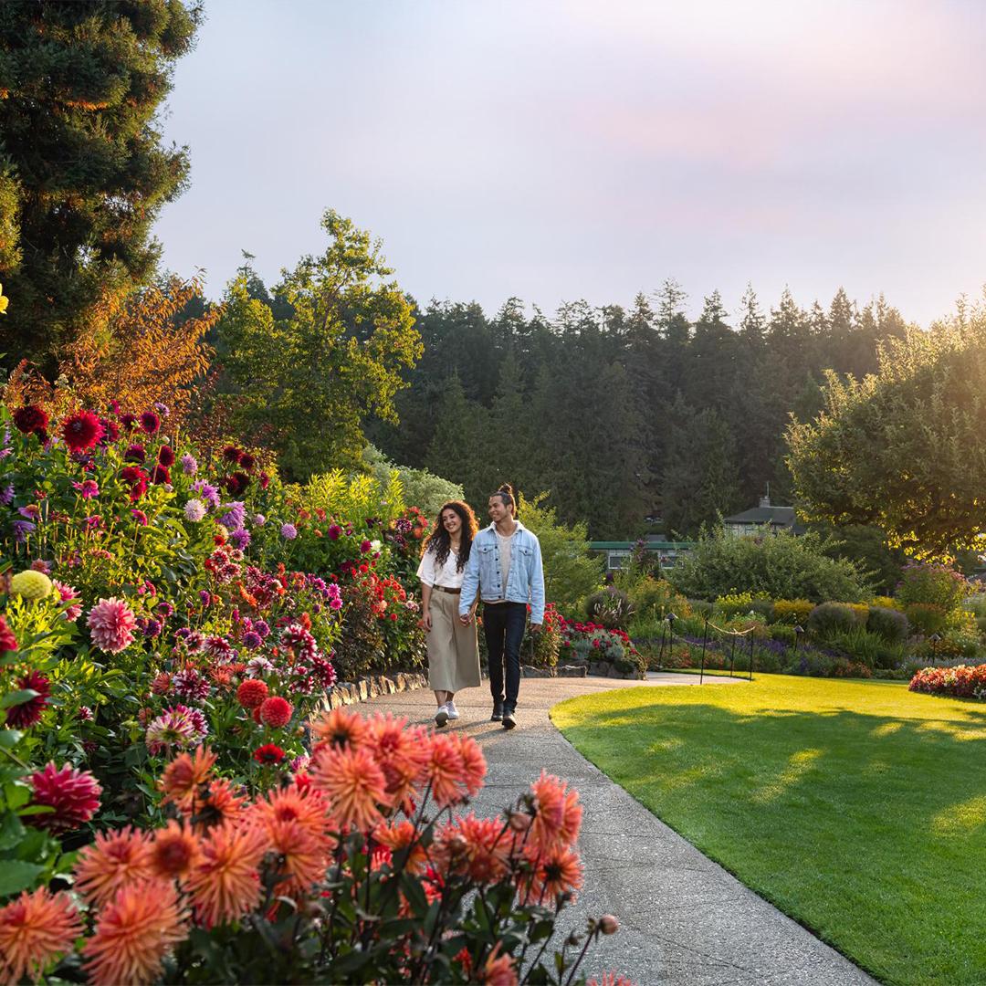 A young couple strolls through The Butchart Gardens in Victoria, BC