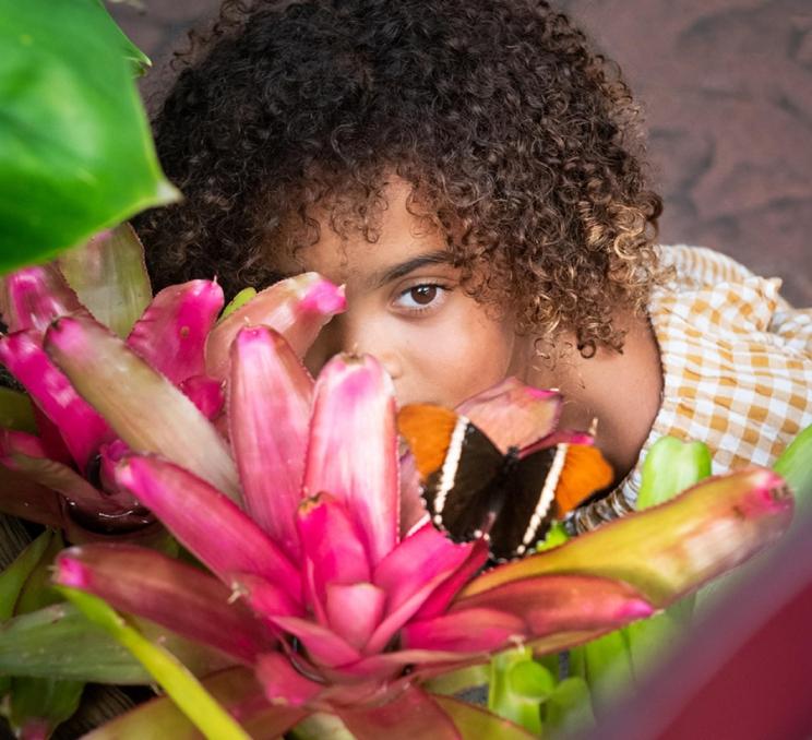 A young girl watches a butterfly inside the Victoria Butterfly Gardens in Victoria, BC