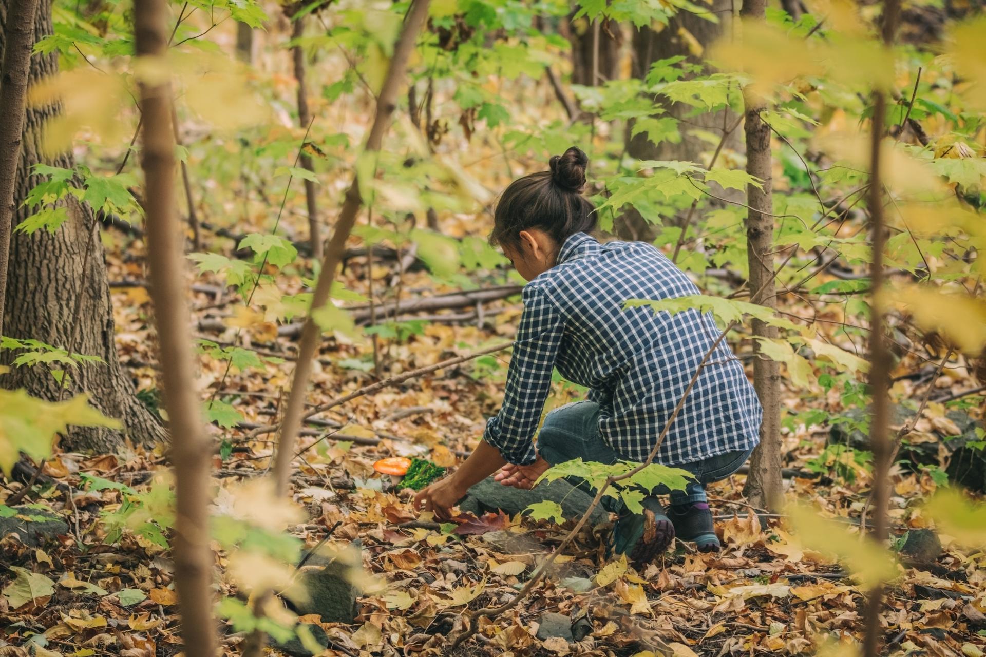 A woman foraging for mushrooms during a hike in the forest.
