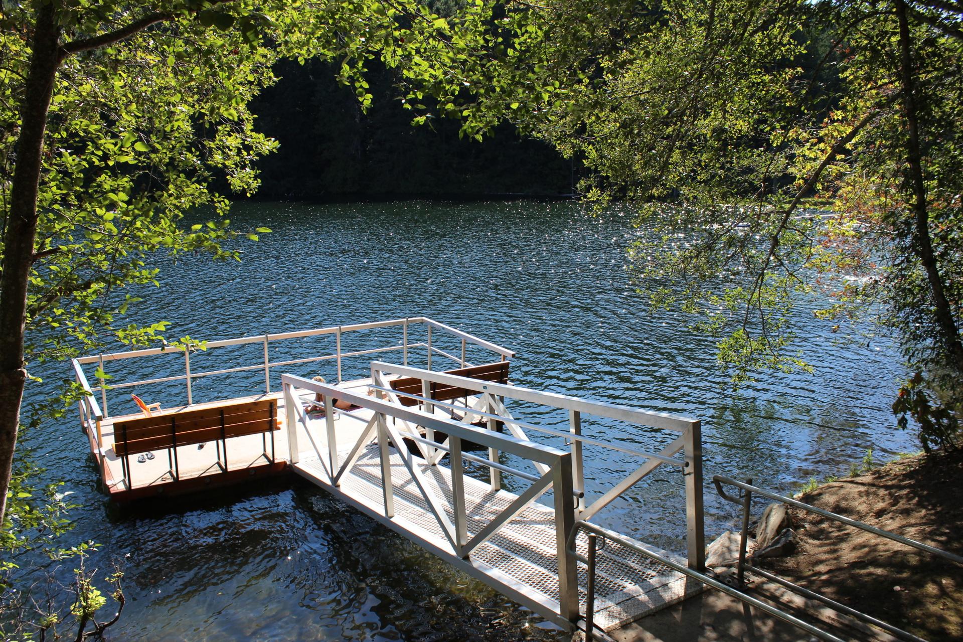 Sunbather resting at the Durrance Lake fishing dock.