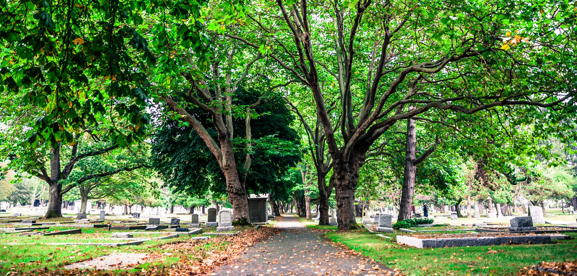 Ross Bay Cemetery path 2