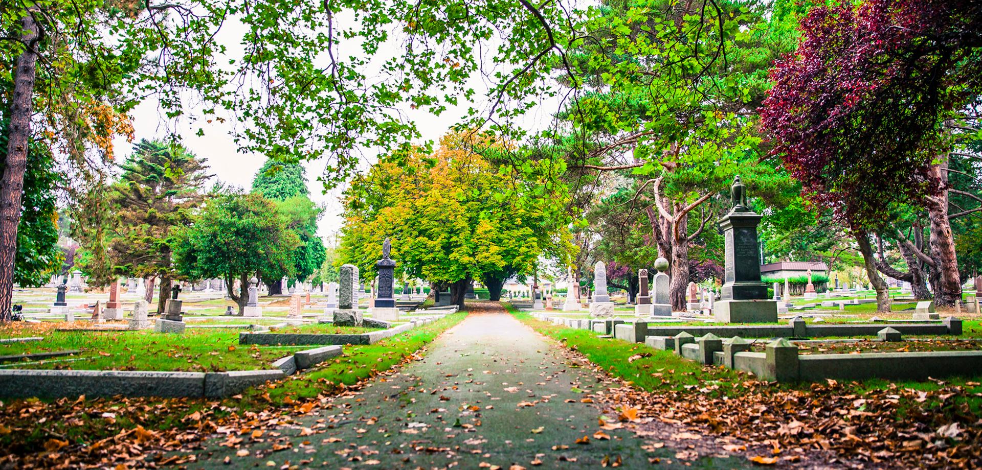 Ross Bay Cemetery path