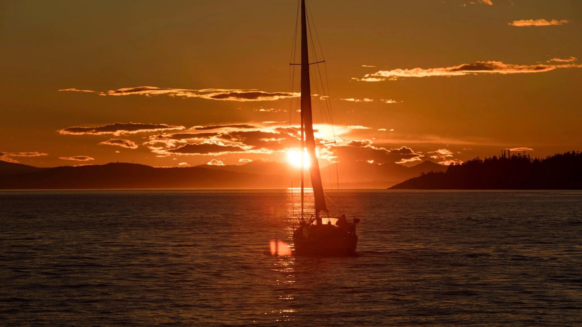 Wine & Whales Sunset Tour package with Eagle Wing Tours