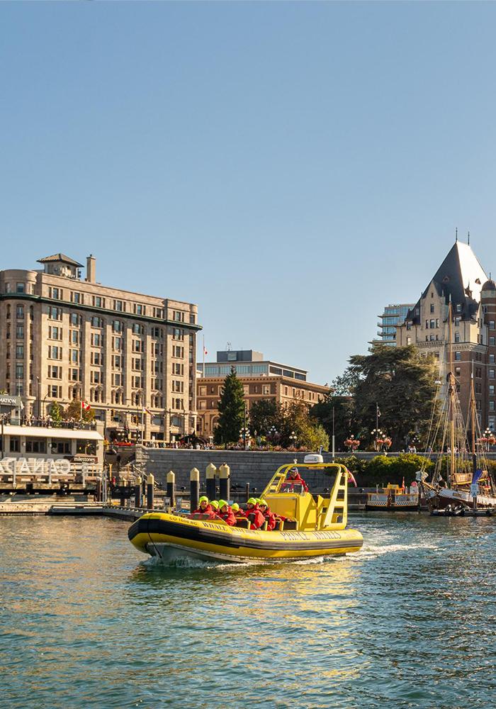 A zodiac whale watching tour departs from Victoria's Inner Harbour
