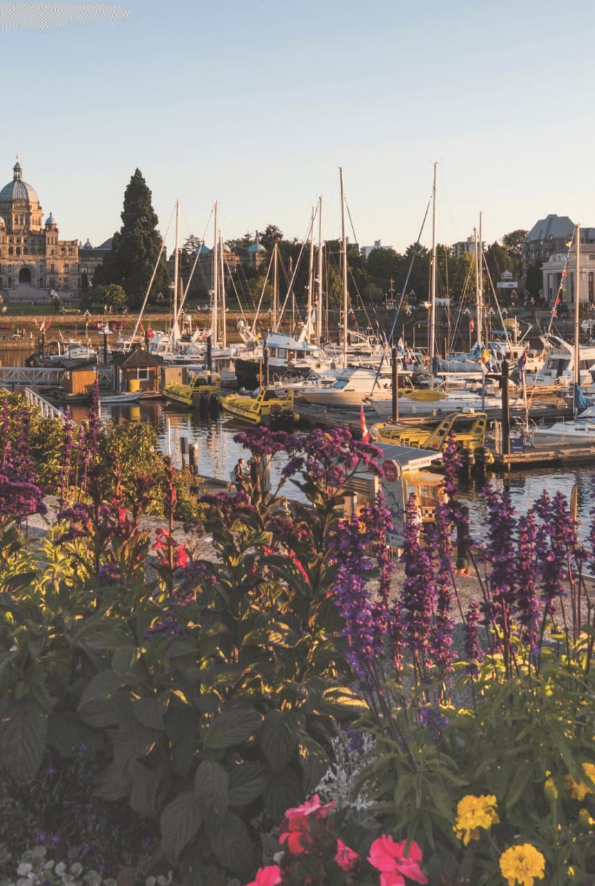 Inner Harbour in Victoria, BC in the summer