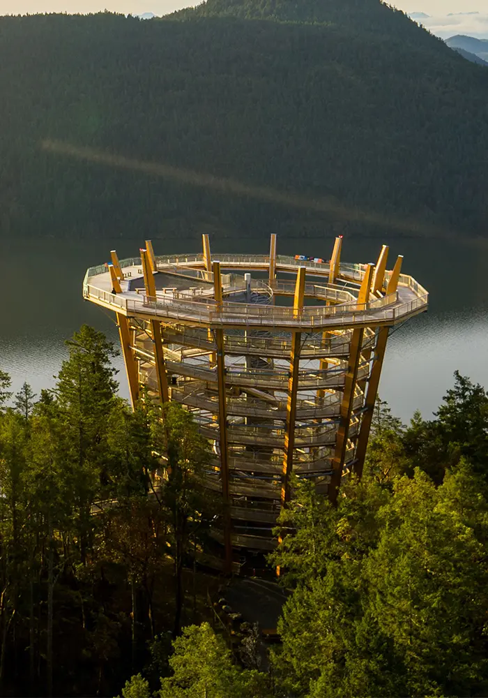 The Malahat SkyWalk, a scenic observation tower, emerges from the tree line overlooking the Saanich Inlet in Victoria, BC